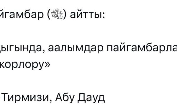 WhatsApp-Image-2023-11-06-at-21.02.23